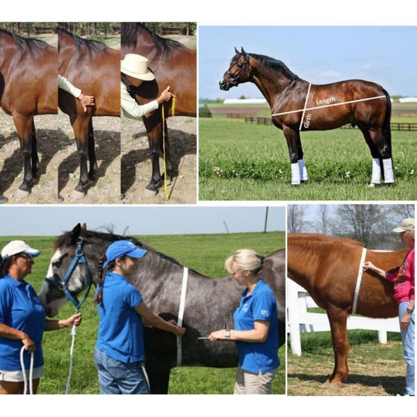 Mät häst och ponny höjd vikttejp, vikt i pund och höjd i händer (händer/LBS)