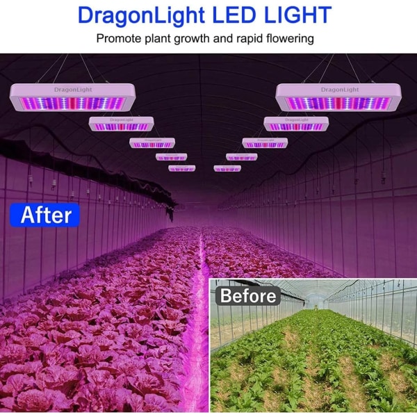 Uppgraderade BW1000 LED-växtlampor Dubbla chips Full Spectrum för växttillväxt och blomning [Energiklass E]