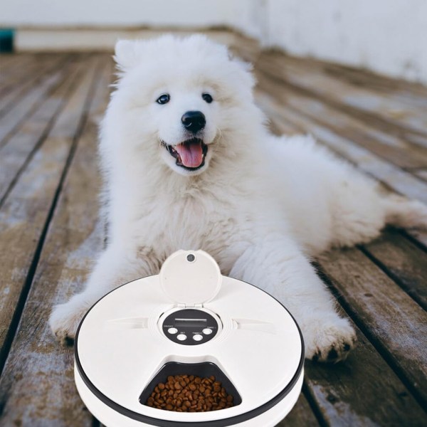 Automatisk hundmatare Automatisk husdjursmatare- Torrfoderautomat Kattmatare för vått eller torrt husdjursfoder