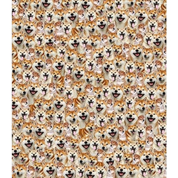 Fuzzy Dogs filt för barn Vuxna Söt valpfleecefilt Vändbart djurmönster, Shiba Inu, 50 x 60 tum color 3
