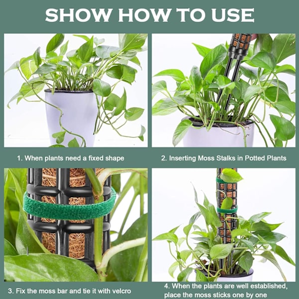 Monstera Monstera Spaljé, 6 st växtstöd i plast, mossstöd för Monstera, växtpinne, växtstöd