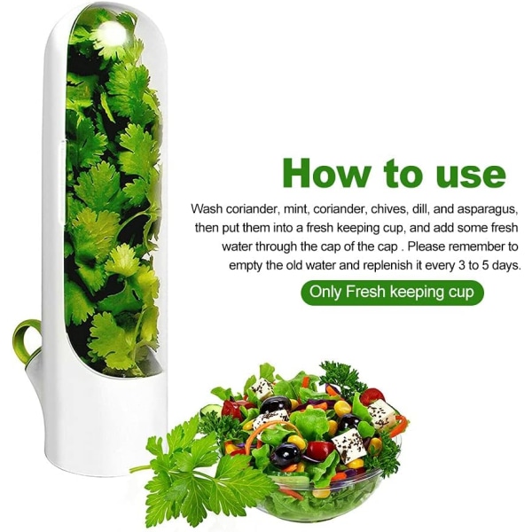 Herb Savor Pod Fresh Herb Keeper Saver och örtförvaringsbehållare för konservering av färska grönsaker