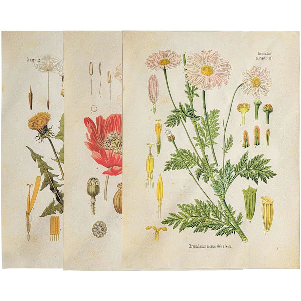 3 st blommor gobeläng väggdekoration vildblomma växt blommig gobeläng diagram liten gobeläng för sovrum vardagsrum