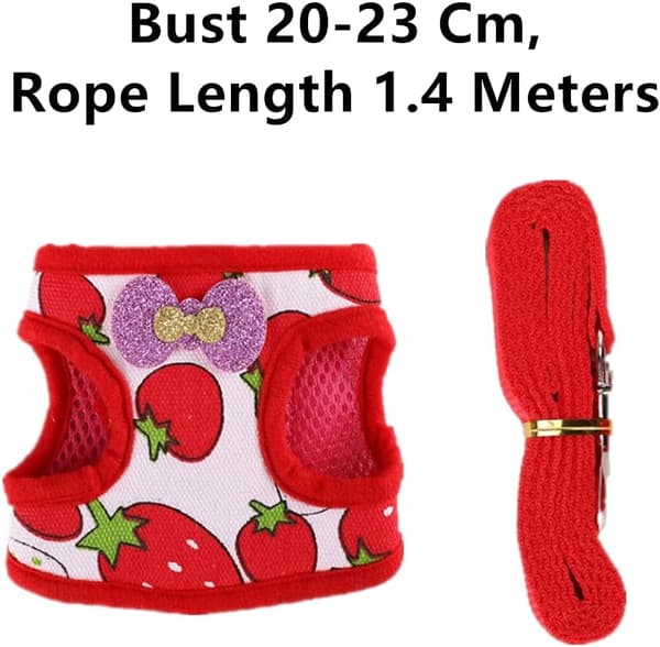 Kanin bröstsele, akryl