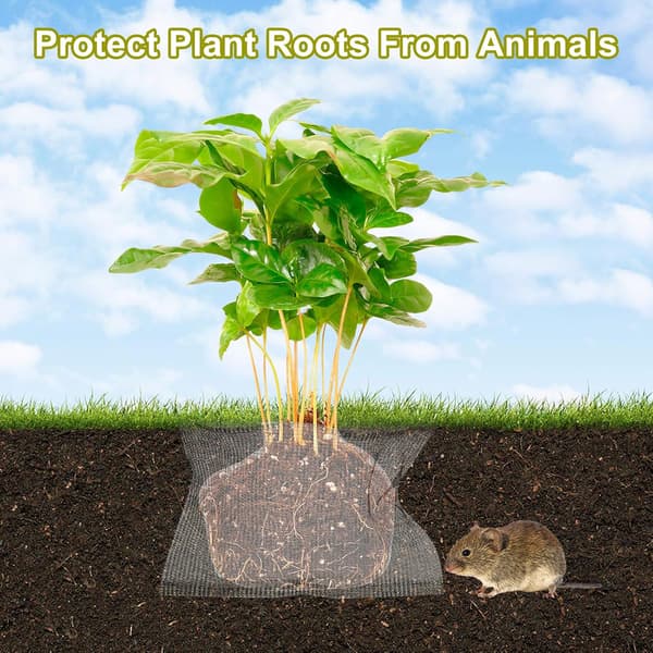 1 Gallon Root Guard Baskets, 12 Pack Rostfritt Stål Växter Tråd Speed Baskets Djurburar(12\" x 6\")