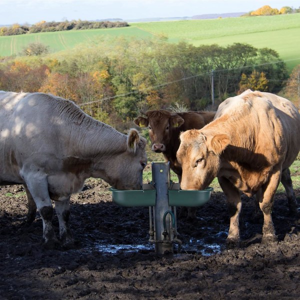 Beef Water Drinker Polypropen med mässingsmunstycke Hållbar Praktisk för nötköttshästar Farm Green
