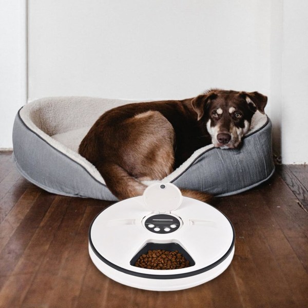 Automatisk hundmatare Automatisk husdjursmatare- Torrfoderautomat Kattmatare för vått eller torrt husdjursfoder