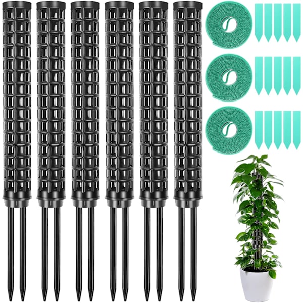 Monstera Monstera Spaljé, 6 st växtstöd i plast, mossstöd för Monstera, växtpinne, växtstöd