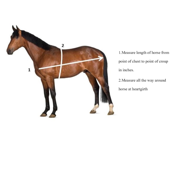 Mät häst och ponny höjd vikttejp, vikt i pund och höjd i händer (händer/LBS)