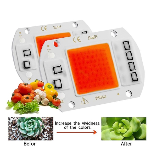 Led Grow Light Full Spectrum Cob Led Chip Ac 110v 220v Ingen Driver Phyto Lampe For Innendørs Plantelys Frøplante Grow Lampe [DB] 50W 220V