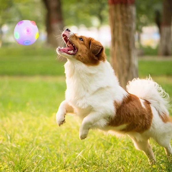 Självrullande Upplyst Hundboll, Hopp-Aktiverad Hundskakboll, Blinkande Boll, Elastisk Husdjursleksak DB White L