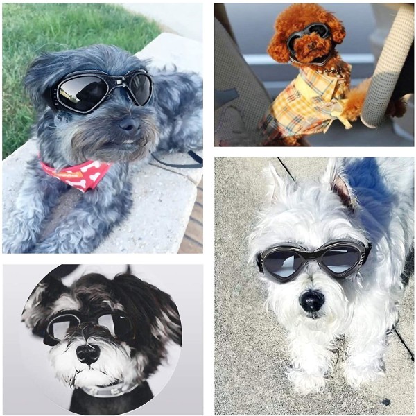 Hundesolbriller, justerbar stropp for UV-solbriller, vanntett beskyttelse