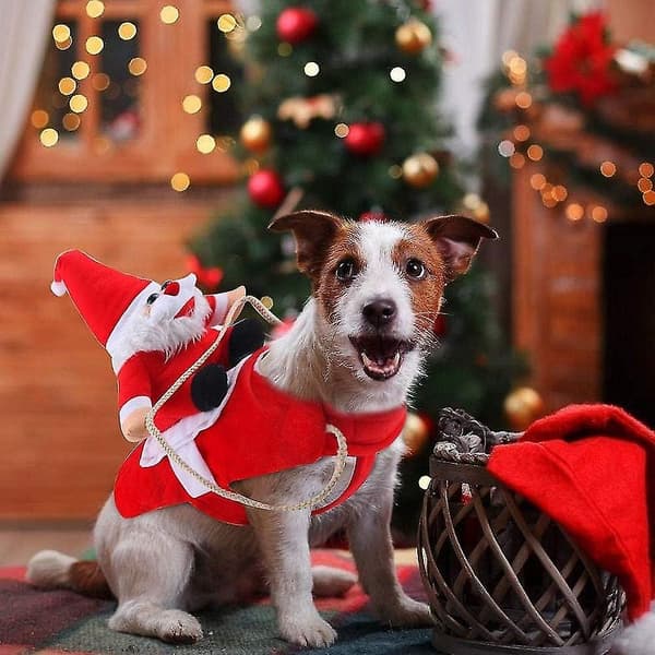 Juletøj til hunde, kreative julekostumer til hunde, julemandskostumer til katte og hunde