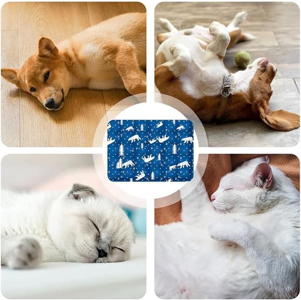 Kølemåtte til hunde | Åndbar, bærbar og foldbar pude | Soveunderlag til hunde/killinger (DB)