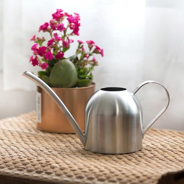 Vannkanne Solid Rustfritt Stål Pot Lang Tut Liten Innendørs 500 Ml db Silver