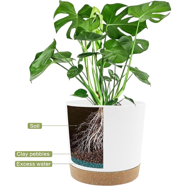 Sæt med 2 plantepotter 19,5 cm, indendørs plantepotter med drænhuller og aftagelig bund, moderne dekorativ underkop til udendørs plantekasser (hvid 19,5 cm)