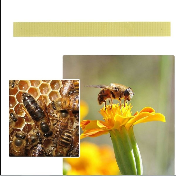 60 stk Pro biavl Fluvalinate Bee Mit Varroa Værktøjsstrimler 22*7,5 cm