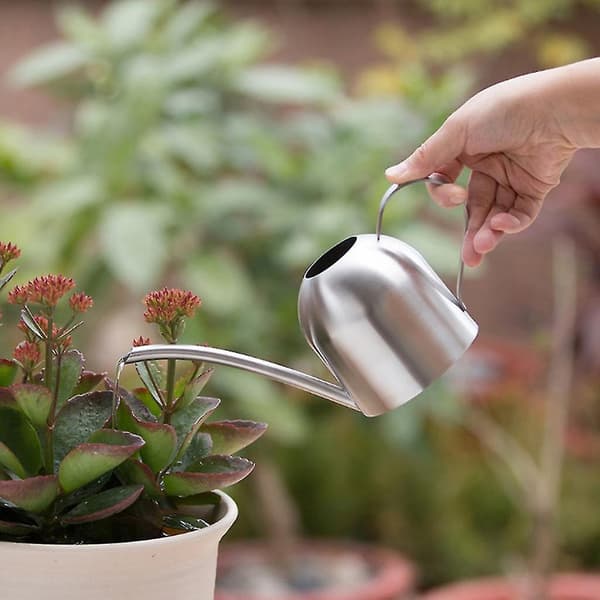 Vannkanne Solid Rustfritt Stål Pot Lang Tut Liten Innendørs 500 Ml db Silver