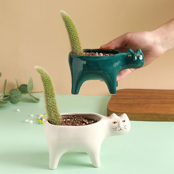 Sød Keramisk Have Blomsterpotte Dyr Billede Kaktus Plante Planter Sukkulent Plante Beholder Bordplade