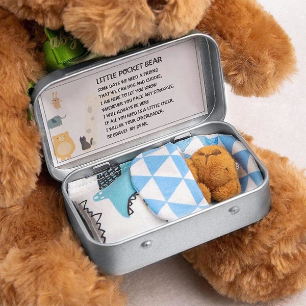 Liten fickbjörn i tenn, gosig liten björn i en låda med kort och täcken för pojkar flickor db beige