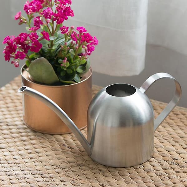 Vannkanne Solid Rustfritt Stål Pot Lang Tut Liten Innendørs 500 Ml db Silver
