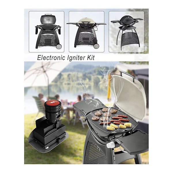 63788 Sytytyssarja Q320 2008 ja Q3200 2014 sarjan kaasugrilleille 80452 60092 Painonappi sytytys, Grillin sytytyssarjat {Db} As Shown