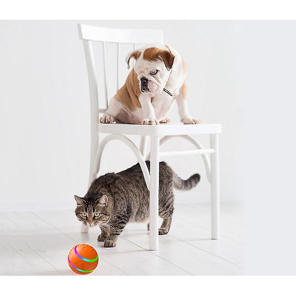 Nytt bitsäkert husdjur leksaker automatisk hund leksak boll elektrisk smart boll  PK (FW)