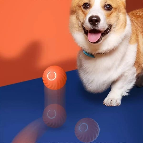Hundleksak Boll Automatisk Rullande Hoppande Studsande Bollar Interaktiva Hundleksaker [DB] Orange One Size
