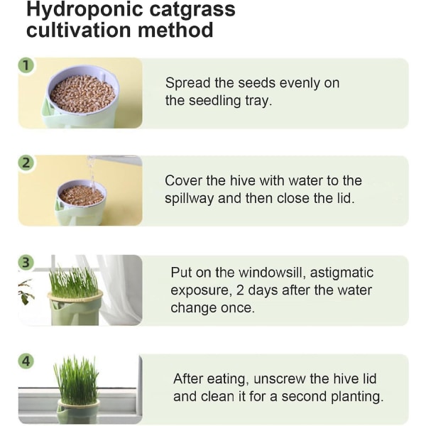 Kattegræs dyrkningskit, plastik hydroponisk kattegræs kop boks nem at dyrke jordfri genanvendelig hvedegræs dyrkningskit