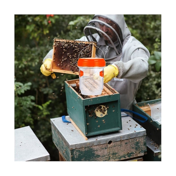 2 stk hvepsefælder til jagt på hvepse, bier, hornets, insekter, gule fælder, hvepsefanger