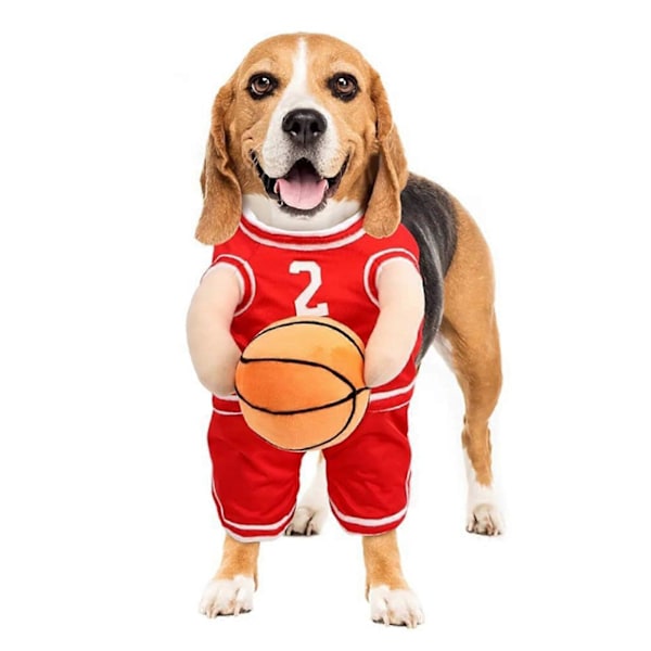 Hundekostume Basketballspiller med Bold Hvalpe Basketball Kostume Holder Bold {db} Red M