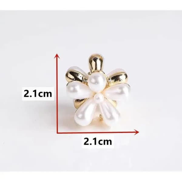 Hårspenner – Mini blomsterformede hårspenner – Sett med 10 – Elegante tilbehør (DB)