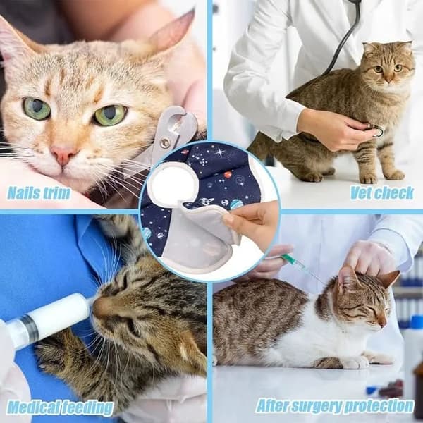 Kattkrage - Justerbar - Bitskydd - Skydd - Återhämtning - Storlek S (DB)