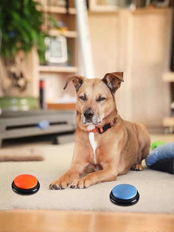 Talande Inspelningsbara Knappar Husdjur Startpaket Hundträningsleksaker [DB] Plaster Blue