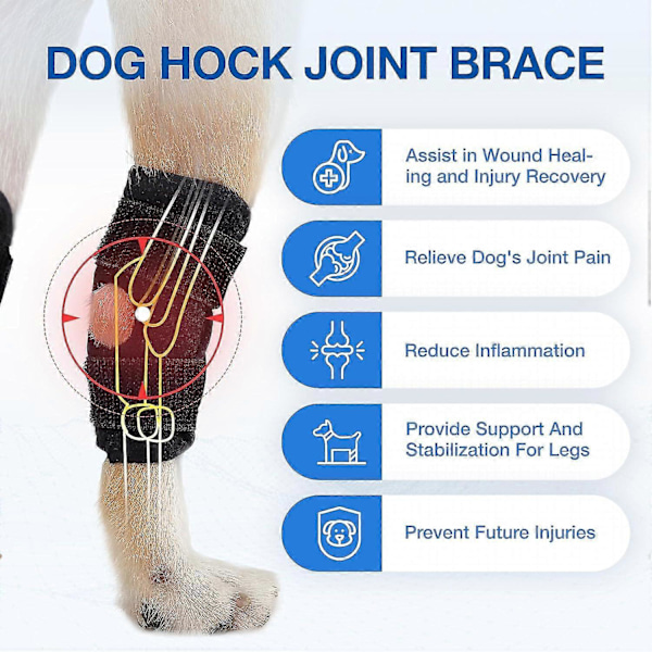 1 Par Hund Knäskydd För Bakben, Stöd För Has & Vrist Vid Riven Korsband (ACL & CCL), Kompressionsbandage För Hundens Bakre Benled [DB] M
