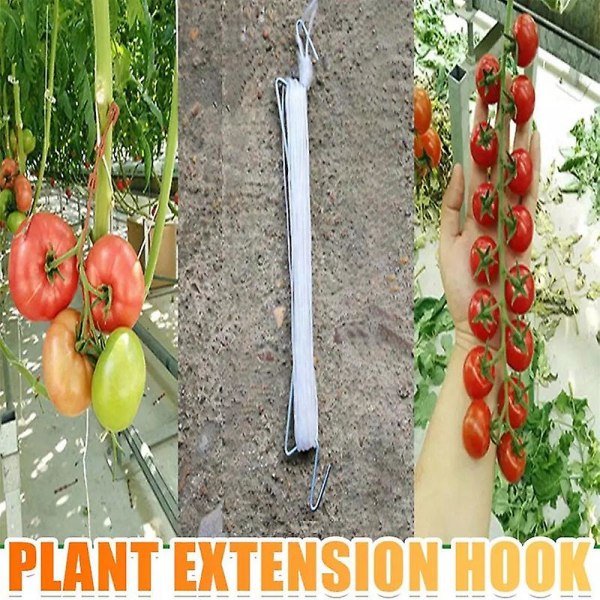 Plantera grönsakskrok Växttillväxt Dragkrok Tomatstödklämmor Vegetabiliskt stöd Förhindra tomat