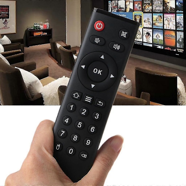 Tanix Tx6 Fjärrkontroll för Android TV-box Tanix Tx5 Max Tx3 Max Mini Tx92 H6 [DB]