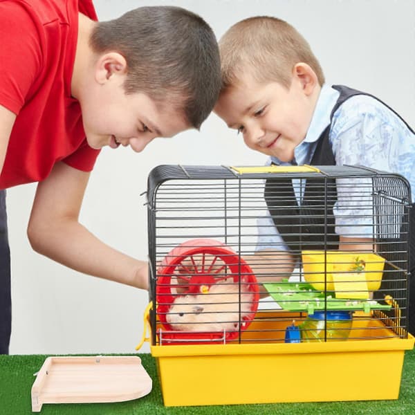Hamsterburbräda Trädjur Sektorformad plattform för små husdjur[DB]
