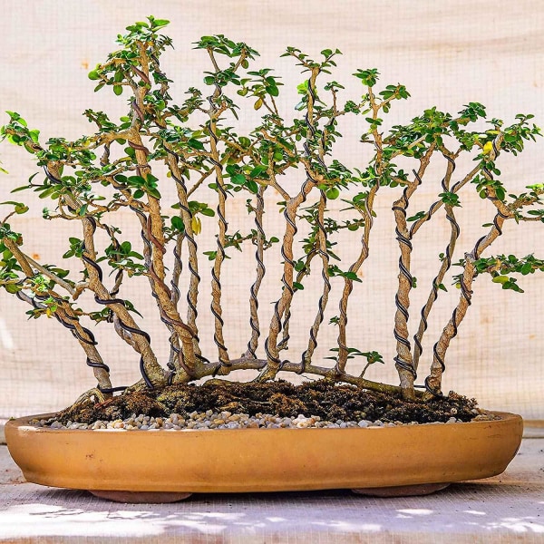 9 ruller bonsai-tråder, tretreningstråd, med trådkutter, aluminium-bonsai-treningstråd for Bonsa[DB] Black  Brown  Green