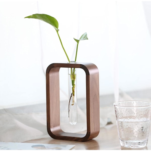 Transparent Glasvase Reagensglas Vase Hydrofile Planter Vase Planteholder Valnød Træramme Blomsterstand Bord Have Bonsai Dekoration, Gaver Til Kvinder