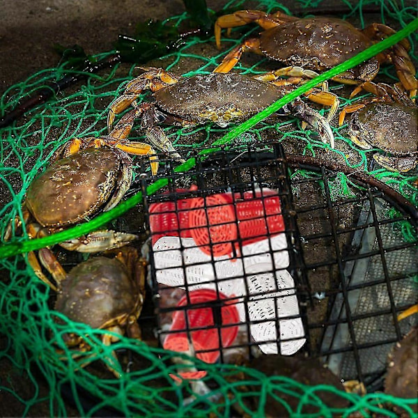 20 stk Fiskeagn Burfelle Fisk Lokkemiddel Mater Kurv Plast Agnbøtte For Krepsdyr Reker Mark Krabbe Karpe [db]