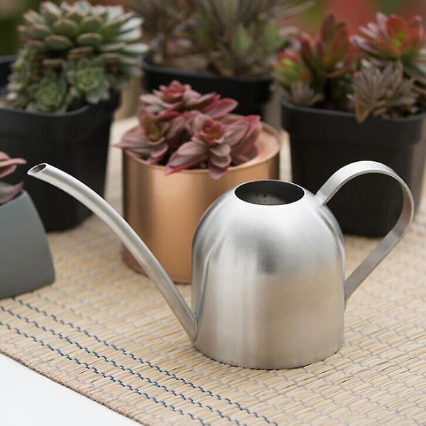 Vannkanne Solid Rustfritt Stål Pot Lang Tut Liten Innendørs 500 Ml db Silver
