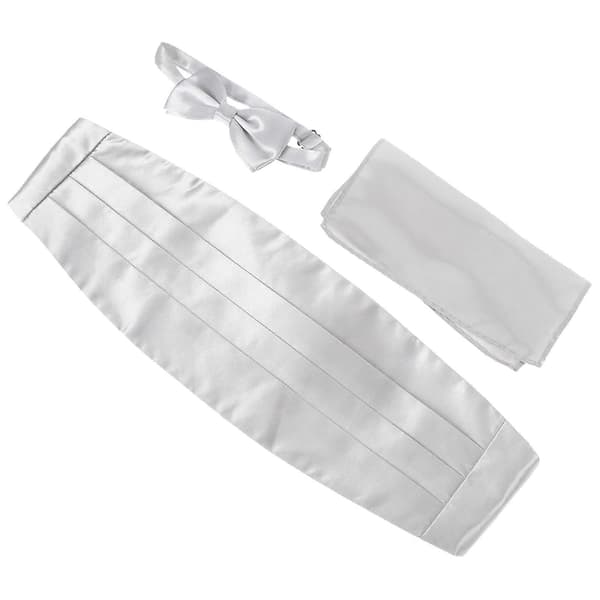 Herrars silverfluga-kit inklusive sidenskärp och näsduk 1 set [DB]