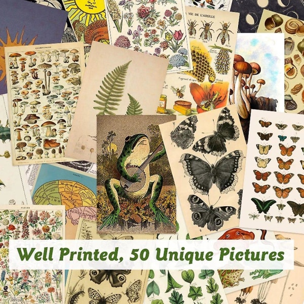 50 stk vintage botanisk tarot estetisk veggkollasjesett og insekter illustrasjonskunstplakatkort
