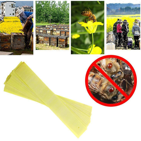 60 st Pro biodling Fluvalinate Bee Mite Varroa Tool Strips Supplies 22*7,5 cm