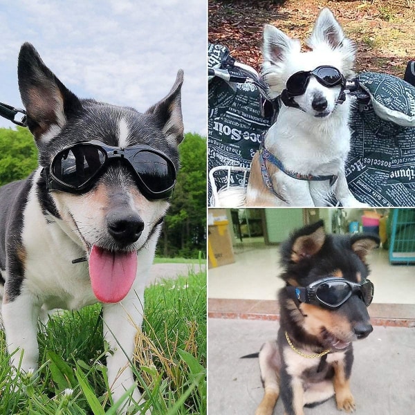 Koiran aurinkolasit, säädettävä hihna UV-aurinkolaseille, vedenpitävä suoja