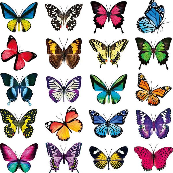 Stora vackra färgglada fjärilar klamrar sig fast vid fönsterklistermärken hjälper till att förhindra fågelst