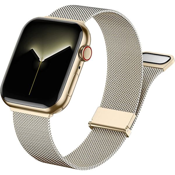 Metallrem kompatibel med Apple Watch-rem 42mm 44mm 45mm 49mm, magnetiskt ersättningsband i rostfritt stål för Iwatch Series 8 7 6 5 4 3 2 1 Se Ult