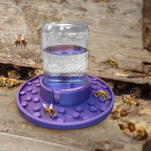 Bifoder til almindelig mundingsglas | Glas sukker vandfoder til bier - Havekopper, sukker vand & indgang, effektiv honningbi konservering, brugt [DB]