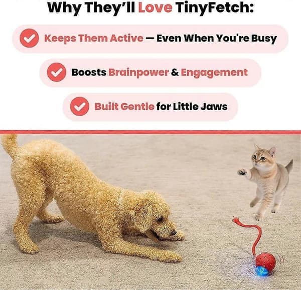 Liten Apport Hundleksak, Tinyfetch Interaktiva Hundleksaker Katt Leksaksbollar, Snabbt Rörlig Boll [DB] Red